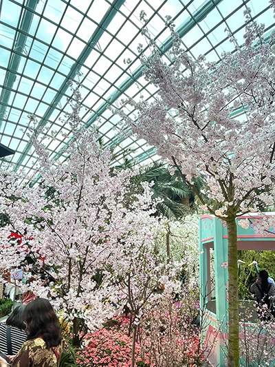 ガーデンバイザベイ　桜祭り